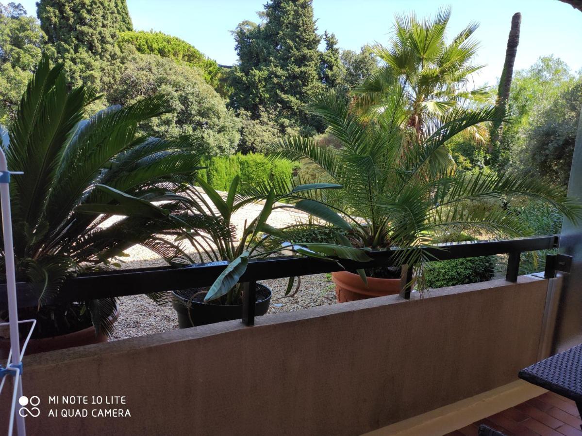 Residence Les Palmiers ニース エクステリア 写真