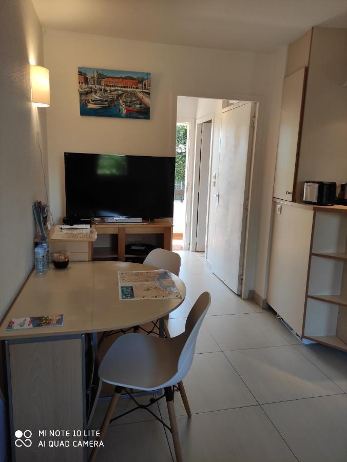 Residence Les Palmiers ニース エクステリア 写真